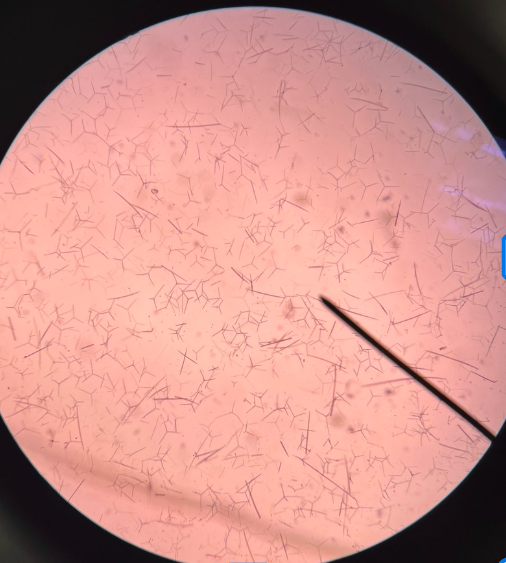 <p>What are these?</p>