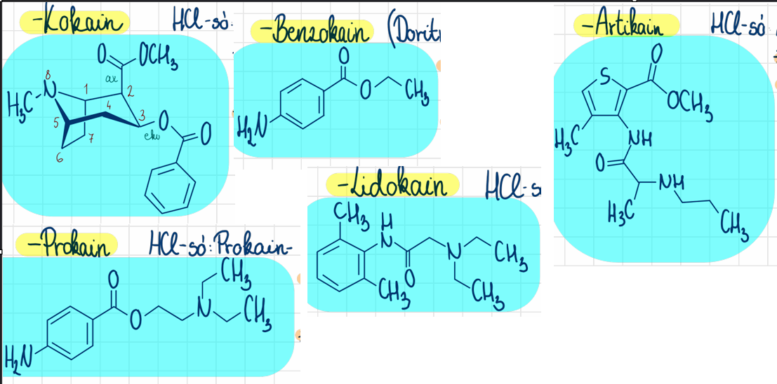 <p>kokain <br>benzokain <br>prokain <br>lidokain <br>artikain</p>