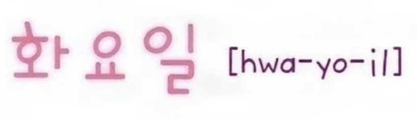 <p>화요일</p>