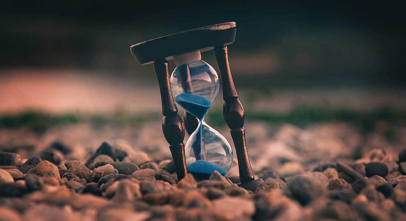 <p>wisdom</p>