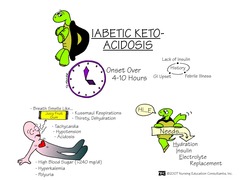 <p>diabetic ketoacidosis</p>