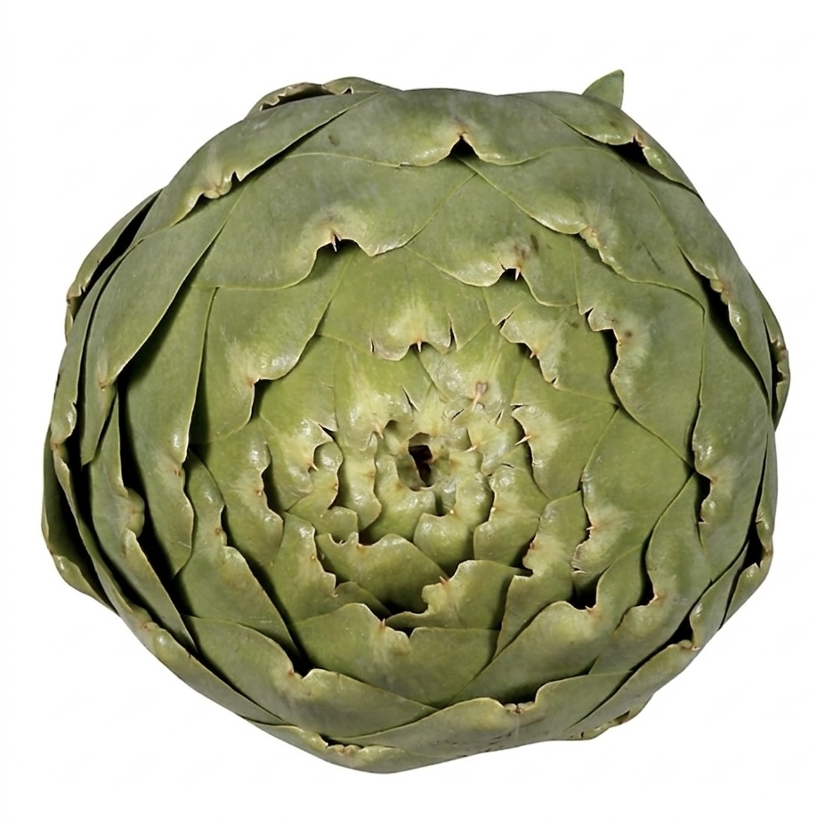 <p>Large artichoke</p>