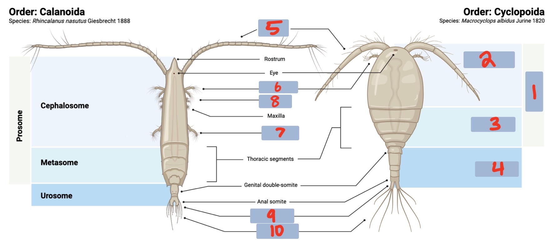 <p>#5?</p>