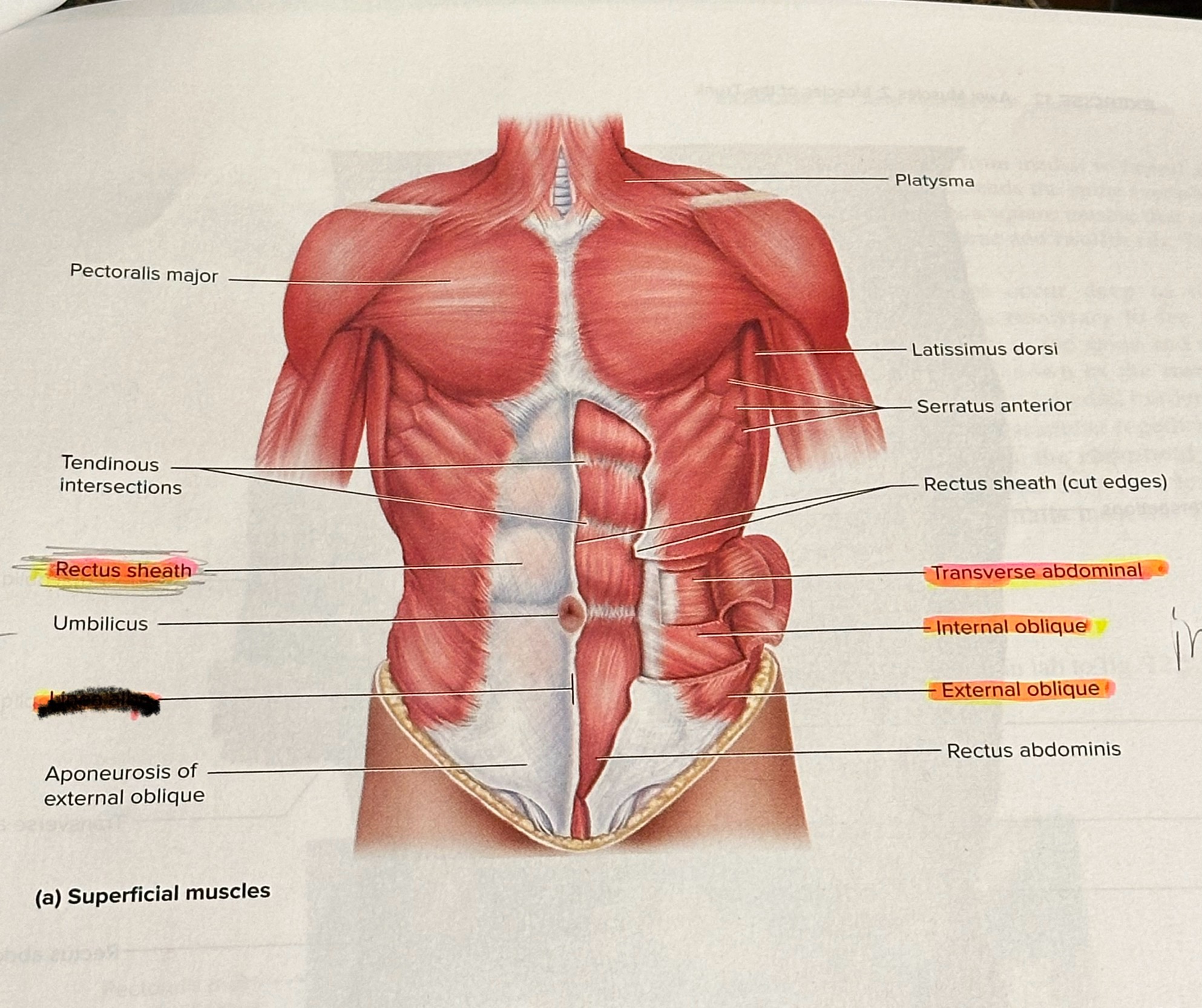 <p>Location crossed out </p>