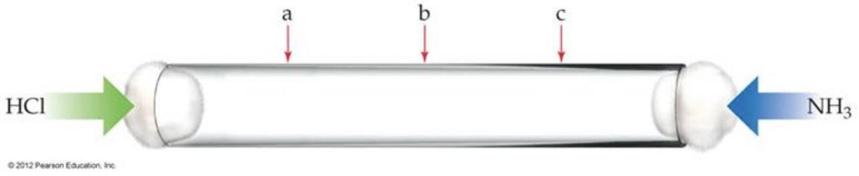 <p>Consider two different gases released at opposite ends into a tube. They will combine to form a solid. Where will the solid form? (mm of HCl > mm of NH3)</p>