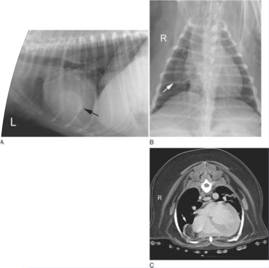 <p><span>●Works like traditional x-rays, only 3D</span></p><p><span>●X-rays strike the patient from multiple angles, creating much larger amounts of radiation</span></p><p><span>●Each x-ray reaches a detector and gets converted to a Hounsfield Unit (HU), which correlates to different tissue types</span></p>