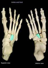 knowt flashcard image