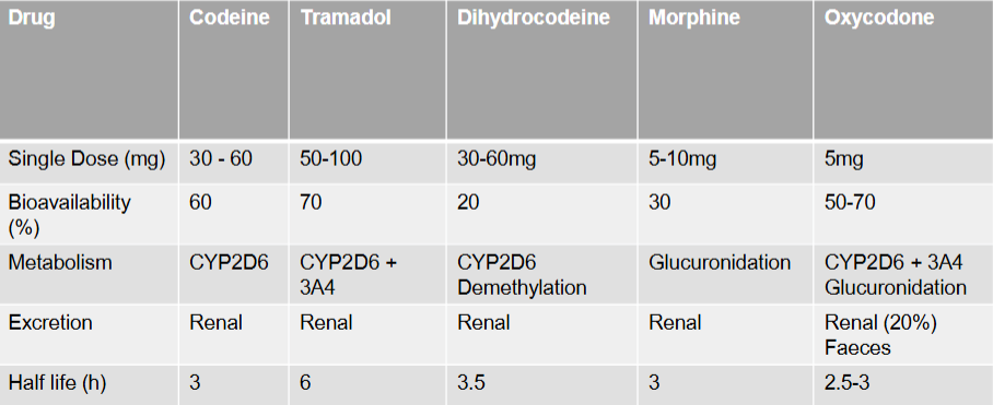 <p>Renal excretion </p><p>highest bioavailability: <span><span>Tramadol</span></span></p><p><span><span>Metabolism:</span></span></p><ul><li><p>almost all: <span><span>CYP2D6</span></span></p></li><li><p>morphine: <span><span>Glucuronidation</span></span></p></li><li><p><span><span>fentanyl: CYP3A4 </span></span></p></li></ul><p></p>