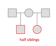 <p>Unilineal because they have a common parent </p>
