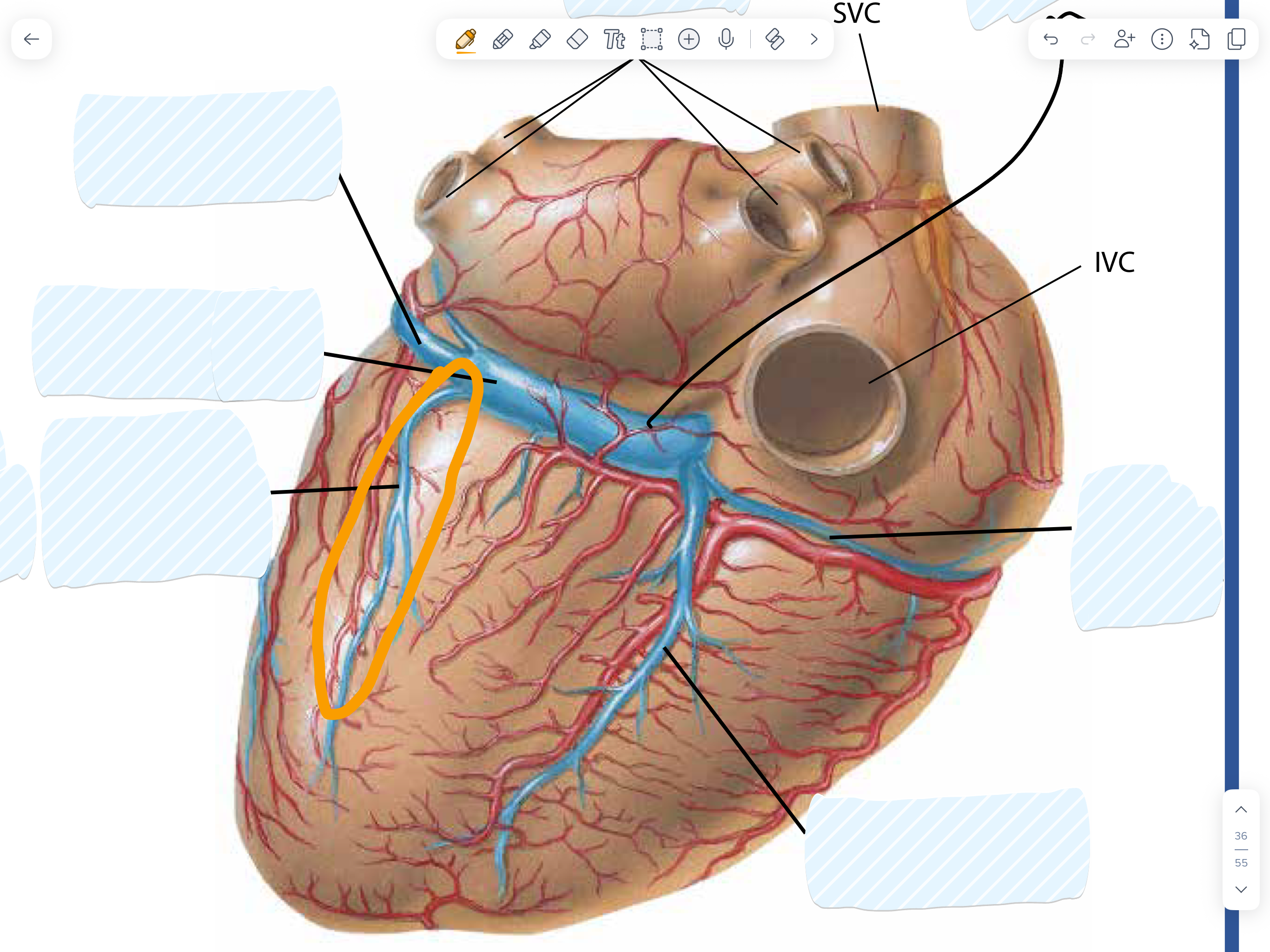 knowt flashcard image