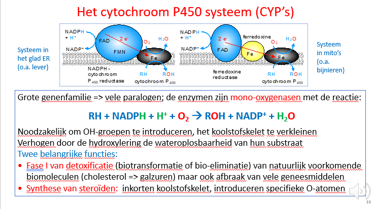 <p><span>De cytochromen zitten vooral in ER en mitochondriën en zullen daar hun substraten verwerken.</span></p><p style="text-align: left;"><span>Die substraten zijn dan zowel cholesterol, of steroidhormonen, of intermediairen van de steroidhormoonproductie en geneesmiddelen / toxines.</span></p>