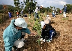 <p>n. trồng rừng mới hoàn toàn</p>