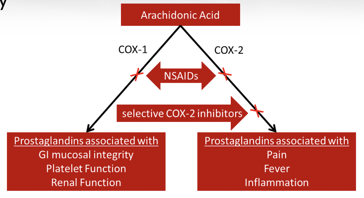 <p>Prostaglandins are chemical mediators that promote inflammation, pain, and fever, so reducing their production decreases pain sensation.</p>