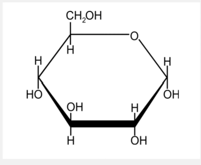 <p>What are Carbohydrates?</p>