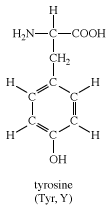<ul><li><p>Polar side chain hydrophilic</p></li></ul><p></p>