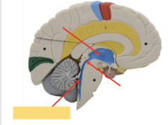 <p>What is this section pointing to?</p>