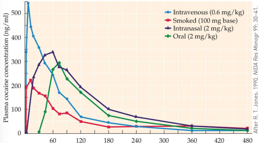 <p>important factor in the strong addictiv properities of crack cocaine</p><p></p>