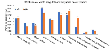 <p>project ice storm</p>