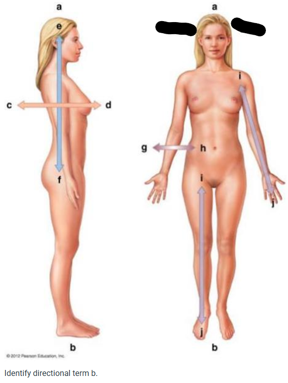 term image