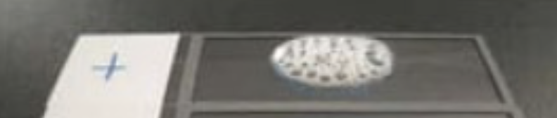<p>test name and result</p>