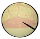 <p>What is this?</p>