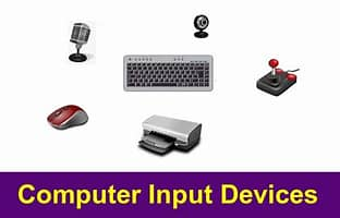 <p>Input devices</p>