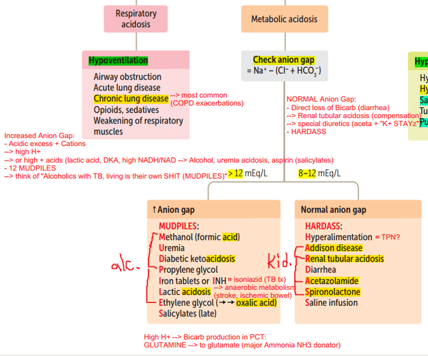 <p>AGMA= anion gap metabolic acidosis (>12)</p><p>- extra acids consume HCO3 so AG widens (Cl doesnt rise here since we have neg charge from acids)</p><p>NAGMA= non anion gap MA (normal 8-12 AG)</p><p>-HCO3 loss causes Cl to rise and AG is maintained (or Cl loss causes HCO3 rise)</p>