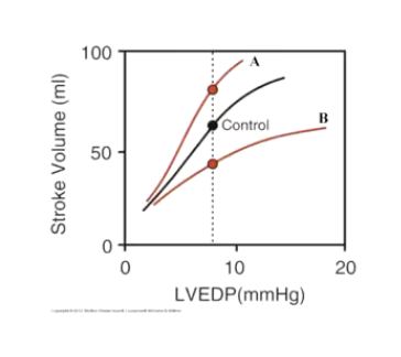<p>Consider the effects of afterload on the curves (Frank-Starling curves) for one particular pressure on the LVEDP normal curve. An increase in afterload shifts the control curve ______, whereas a decrease in the afterload shifts the control curve _______.</p>
