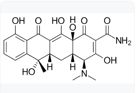 <p>Standard fused four-ring naphthacene nucleus.</p>