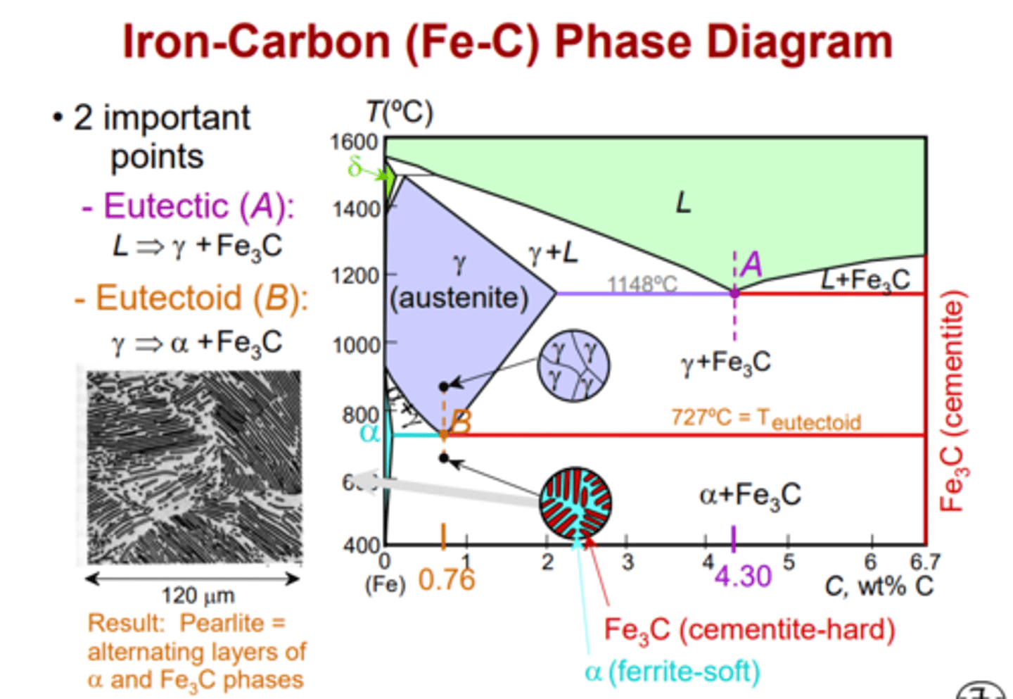 <p>Microstructures such as pearlite, ferrite, cementite, and austenite are plotted within the iron-carbon diagram depending on carbon content and cooling rate.</p>