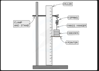 <p>Aim: investigate the relationship between force and extension for a spring. IV = force (N), DV = extension (m), CV = spring used. </p><p>1. Set up clamp and stand with spring hanging vertically.</p><p> 2. Attach pointer/fiducial marker to bottom of spring to read ruler accurately.</p><p> 3. Record the natural length of the spring.</p><p> 4. Add 100g masses one at a time using a mass hanger. </p><p>5. Record the new length each time — repeat 3 times and average.</p><p> 6. Calculate extension = final length − original length. </p><p>7. Plot a force-extension graph — straight line through origin = Hooke's Law obeyed. </p><p>8. Calculate k = gradient of the straight line </p><p></p>