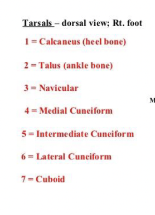<p>How to remember</p><ul><li><p>3 and 7 are NC (north carolina)</p></li><li><p>4 and 6 are medial and lateral, and 5 (the one in the middle) is intermediate</p></li></ul><p></p>