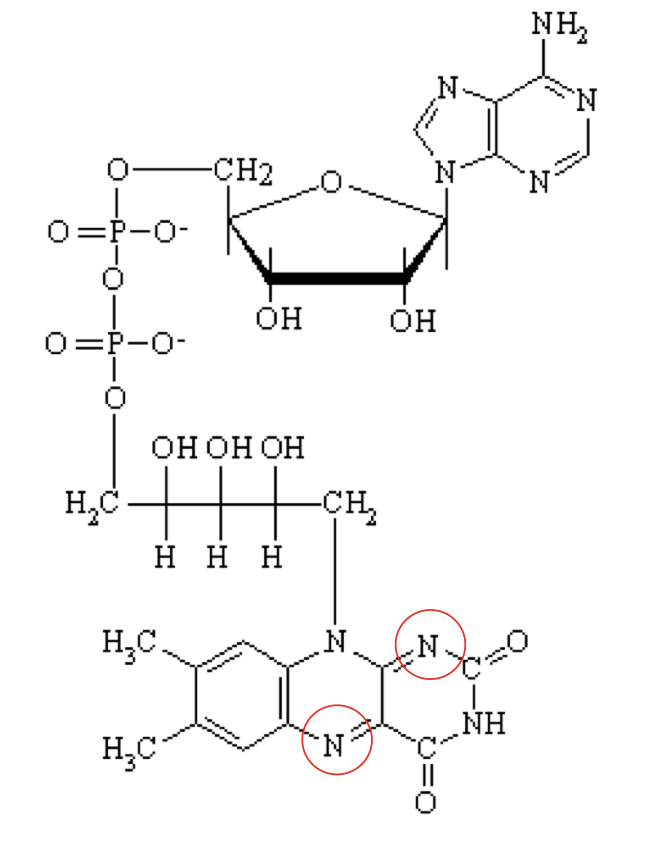 <p>what structure is this?</p>
