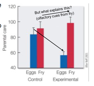 <p>what does this figure show?</p>