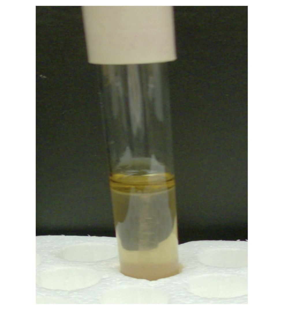 <p>what is the test and result?</p>