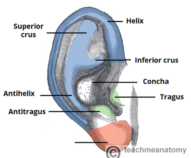<p>label missing part</p>