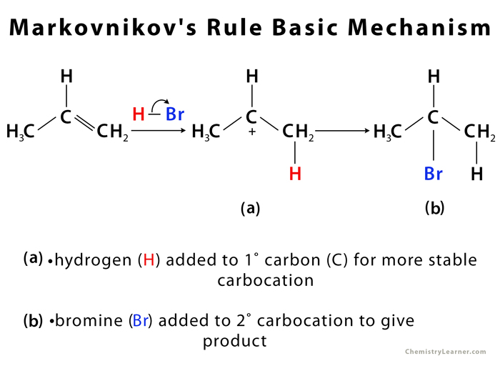 <ul><li><p>“RICH GET RICHER”, <strong>occurs where there’s double bonds</strong></p></li><li><p>so like H’s go to where there’s the most H’s</p></li></ul><p></p>