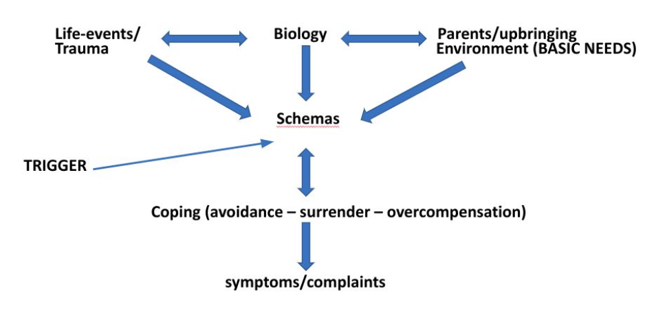 <ul><li><p>Life-events/trauma, biology and parents/upbringing environment (basic needs) interact and form schemas</p></li><li><p>Outside trigger evokes coping reaction based on schemas (avoidance, surrender, overcompensation)</p></li><li><p>These reactions lead to symptoms and complaints </p></li></ul><p></p>