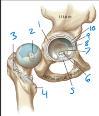 <p>6</p>