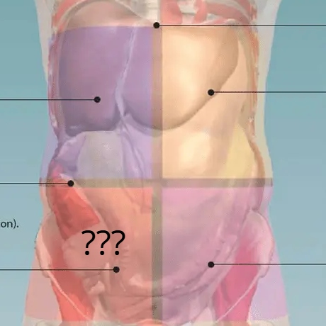 <p>What body quadrant ???</p>