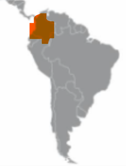 <p></p>