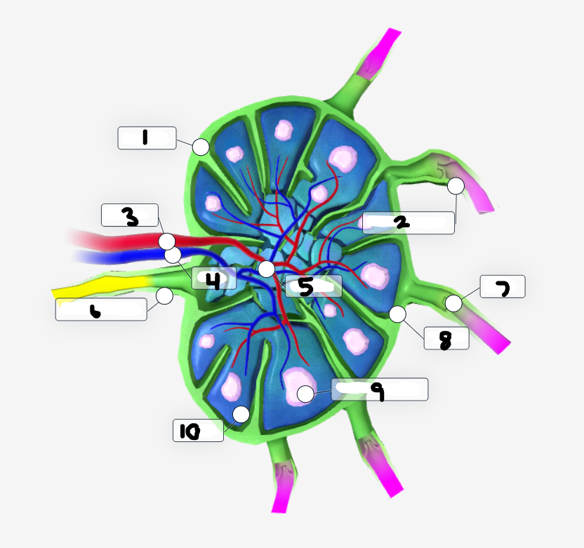 <p>Label the diagram</p>