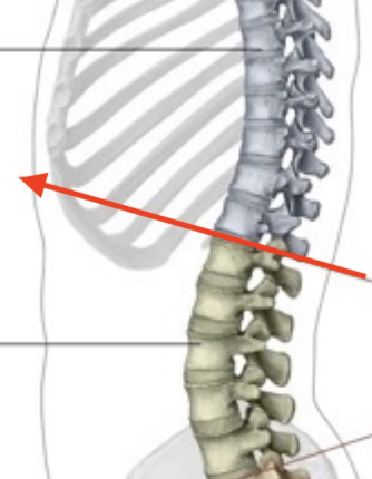 <p>What is this structure?</p>