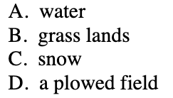 <p><span>Which of the following surfaces will absorb light energy most easily?</span></p>