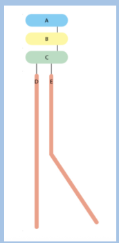 <p><span style="background-color: transparent;">Shown is a schematic diagram of a membrane phospholipid. Which of the marked segments is different between phosphatidylcholine and phosphatidylethanolamine?</span></p><p><span style="background-color: transparent;">A. B</span></p><p><span style="background-color: transparent;">B. D and E</span></p><p><span style="background-color: transparent;">C. C</span></p><p><span>D. A</span></p>