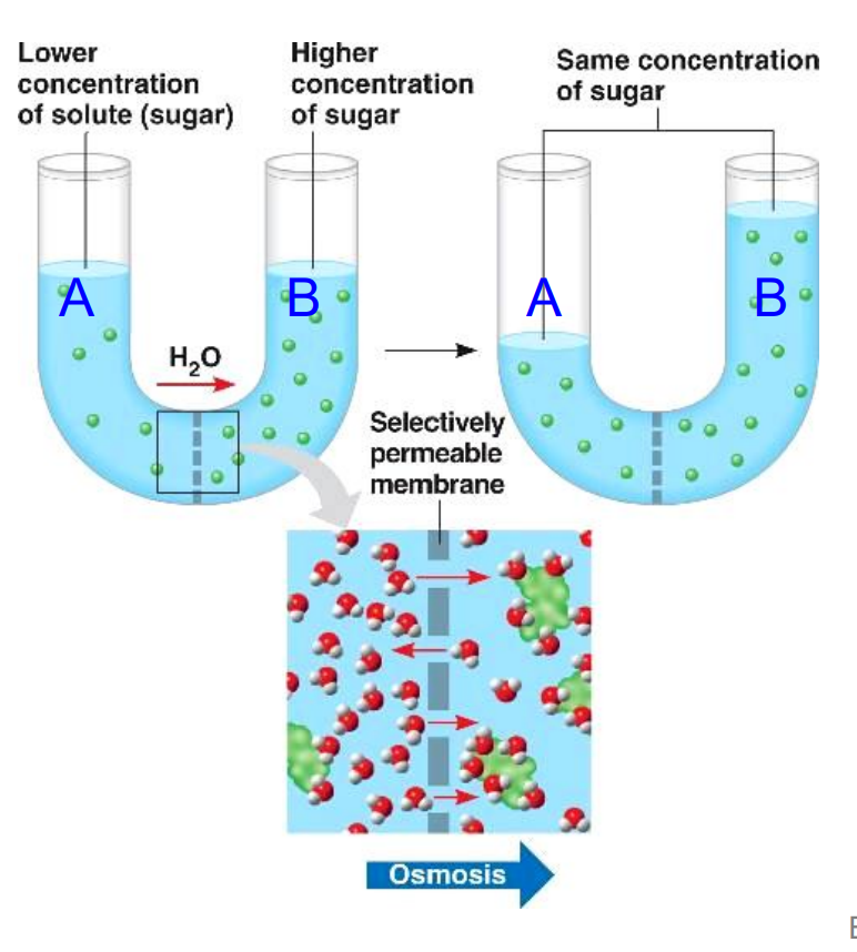 <p>kas čia vyksta?</p>
