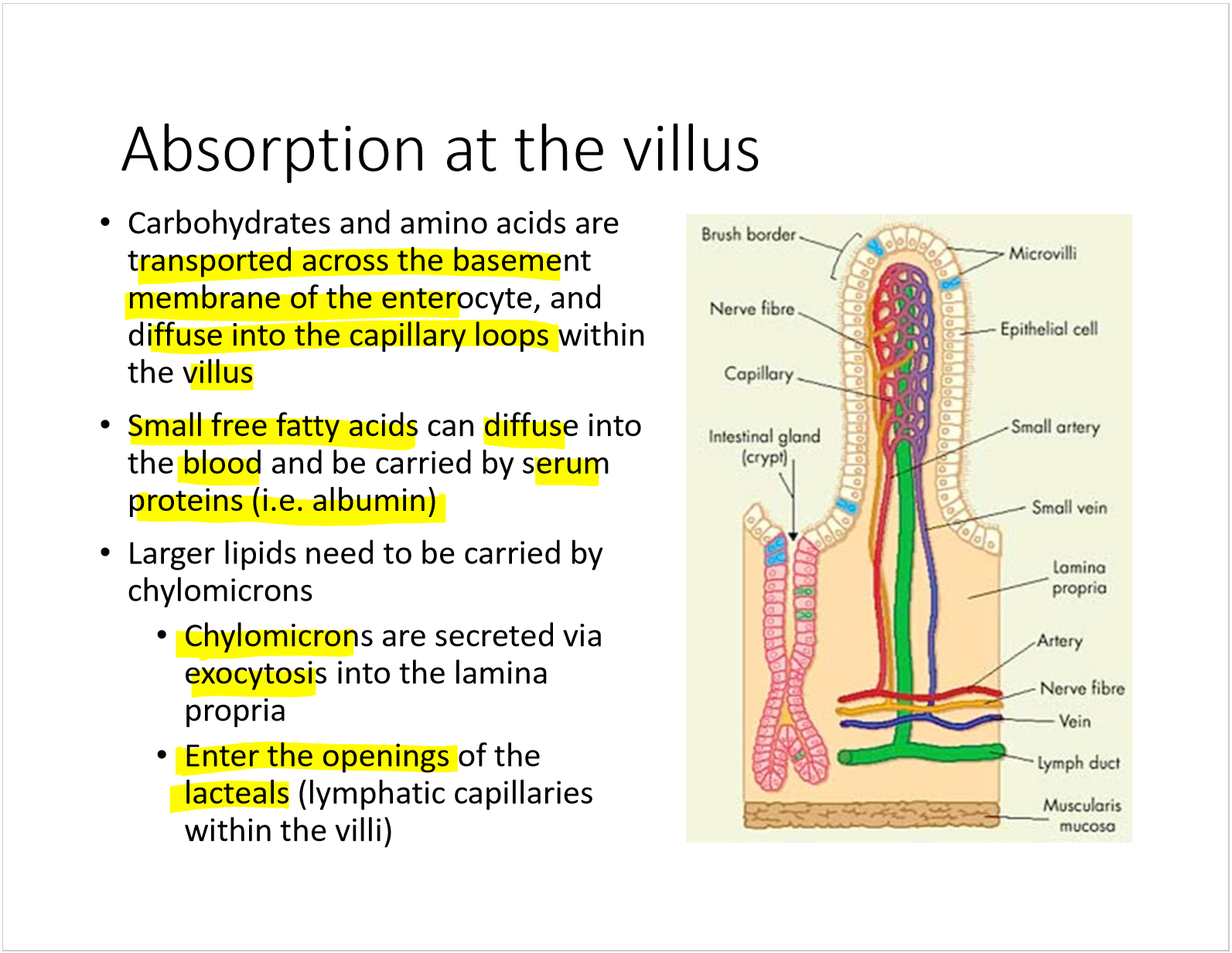 knowt flashcard image
