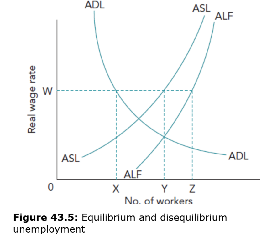 <ul><li><p>XZ= total unemployment</p></li><li><p>XY = disequilibrium unemployment</p></li><li><p>YZ = equilibrium unemployment</p></li></ul><p></p>