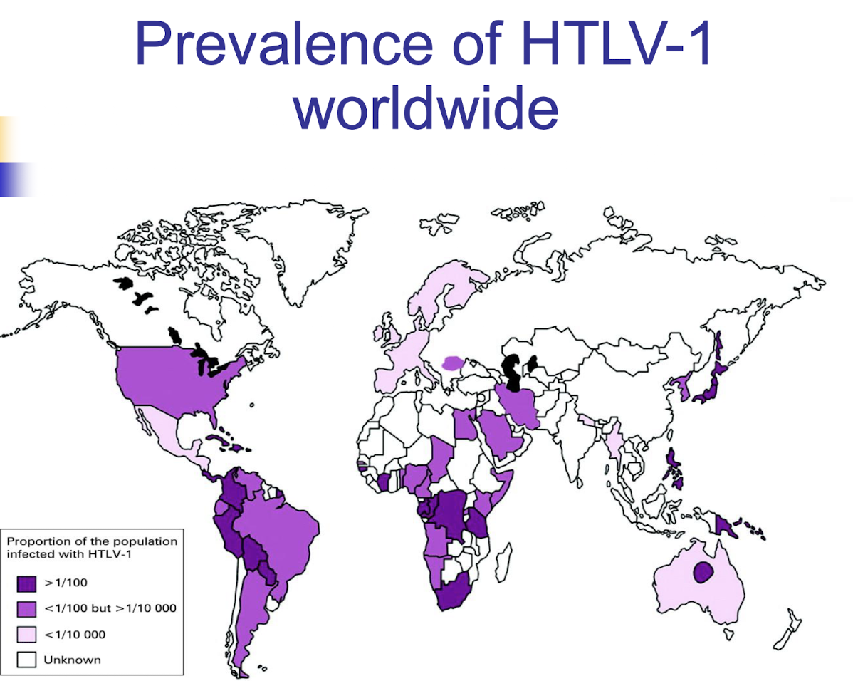 <p><strong>Primarily is distributed in </strong><span style="color: green;"><strong>Japan, The Caribbean, areas of Subsaharan Africa and parts of South America</strong></span><strong>, with higher prevalence rates in specific populations i.e. </strong><span style="color: green;"><strong>central Australia </strong></span>with indigenous communities having high percentages of adults with the virus</p>