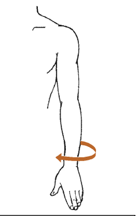 <p>What is this motion?</p>